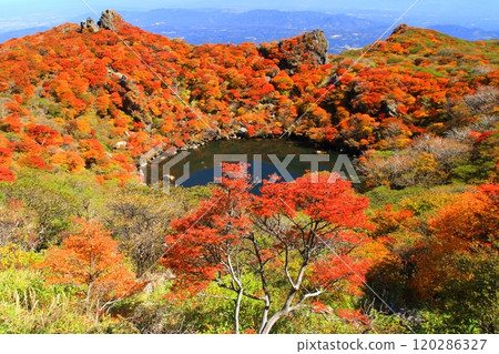 秋天的大船山禦池（竹田市九重山脈） 120286327