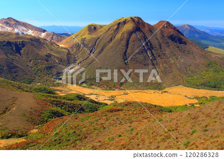 三俁山和博雅鶴（來自九重山脈/大船山） 120286328