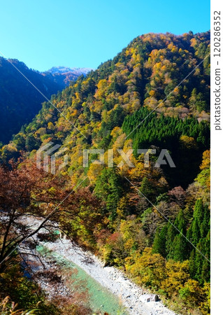 黑部峽谷在秋天 黑部峽谷在秋天 120286352