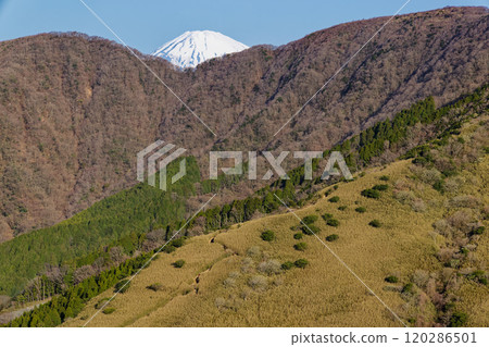 從箱根索馬和矢楹澤嶺看到的富士山頂 120286501