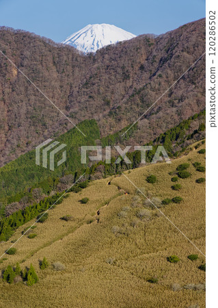 The summit of Mt. Fuji as seen from the Hakone outer rim, near Yagurasawa Pass 120286502