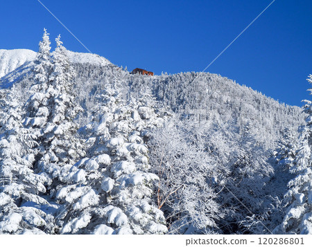 從新穗高纜車西穗高出口眺望北阿爾卑斯山的壯麗景色 120286801