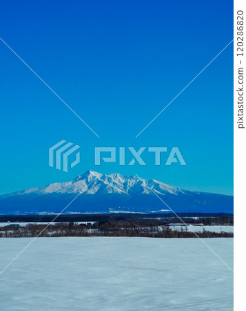 從北海道小清水町馬鈴薯路看到的斜哩山 從北海道小清水町馬鈴薯路看到的斜哩山 120286820