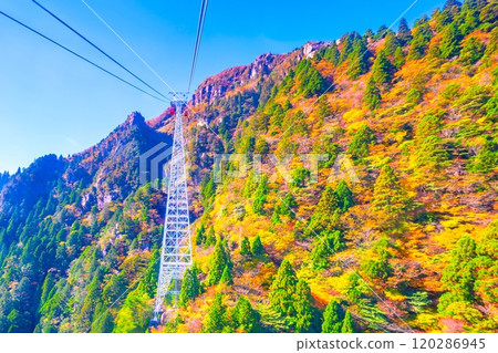 禦在所索道和秋葉 120286945