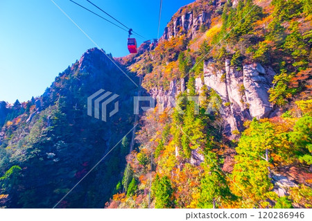 禦在所索道和秋葉 禦在所索道和秋葉 120286946