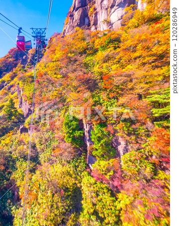 禦在所索道和秋葉 120286949