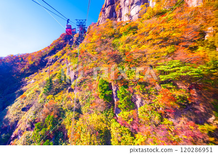 禦在所索道和秋葉 禦在所索道和秋葉 120286951