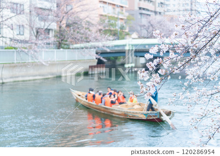 生活方式形象 深川賞櫻 120286954