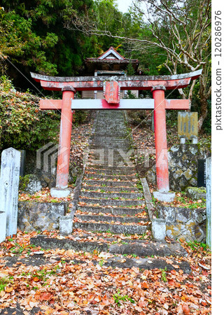 古迦因社 120286976