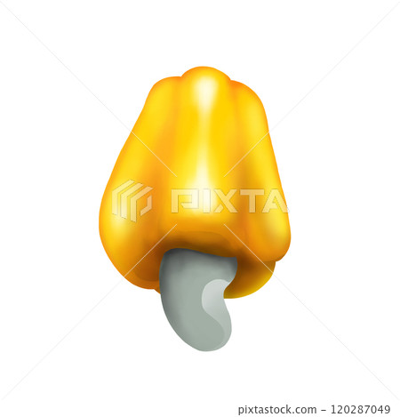 Yellow cashew fruit and cashew nuts 120287049