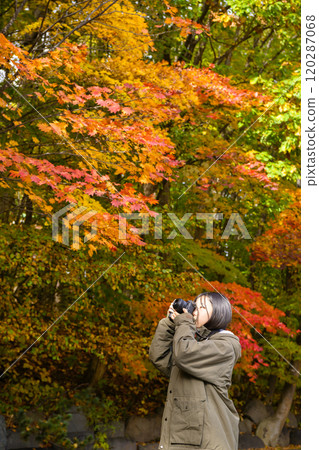 Women taking red leaves Women taking red leaves 120287068