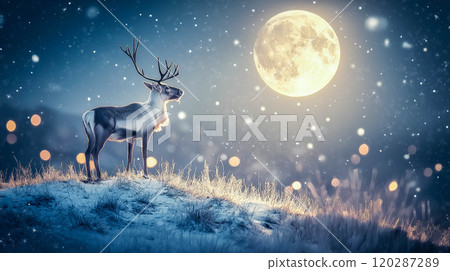 A reindeer stands on a grassy hill under the full moon. The concept of Christmas, nature, serenity, and wildlife under a mystical night sky. Generative AI. 120287289