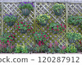 Flower landscape 120287912