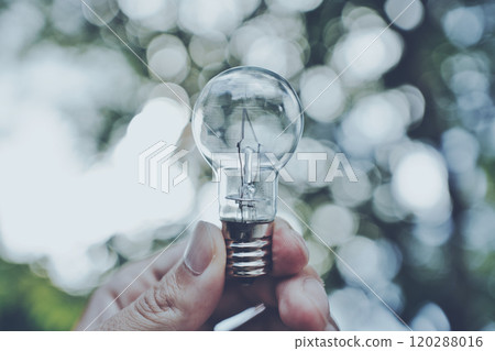 Person's hand holding a light bulb and blurred green background 120288016