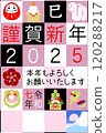 2025 Year of the Snake New Year's Card 11 Checkered Pattern 2025 Year of the Snake New Year's Card 11 Checkered Pattern 120288217