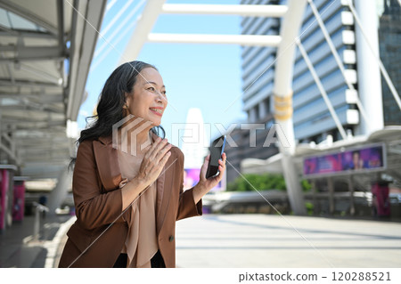 Portrait of successful mature businesswoman having business conversation outdoors Portrait of successful mature businesswoman having business conversation outdoors 120288521