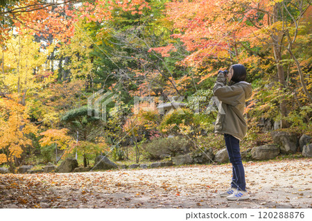 Women taking red leaves 120288876