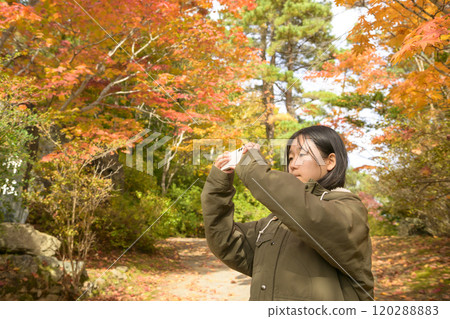 採取與智能手機的婦女秋葉 採取與智能手機的婦女秋葉 120288883