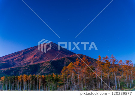 [山梨縣]深秋的落葉松黃葉和黎明的富士山 120289877