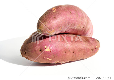 Sweet potato (beniyuka) Sweet potato (beniyuka) 120290054