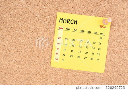 Calendar sheet for March 2025 with thumbtack on wooden board. Calendar sheet for March 2025 with thumbtack on wooden board. 120290723