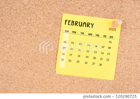 Calendar sheet for February 2025 with thumbtack on wooden board. Calendar sheet for February 2025 with thumbtack on wooden board. 120290725