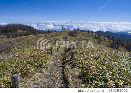 [Nagano Prefecture] Utsukushigahara Highlands: View from Memories Hill 120291092