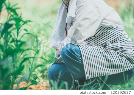 A woman weeding a field A woman weeding a field 120292627