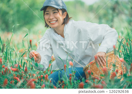 花農收穫草莓蠟燭 120292636