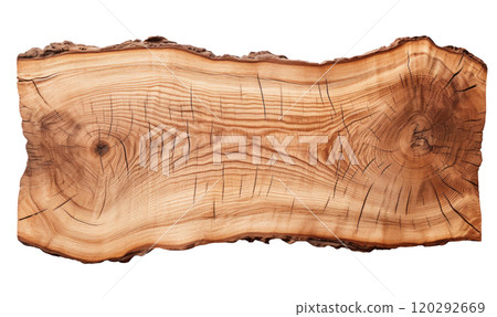 Cross Section of a Tree 120292669