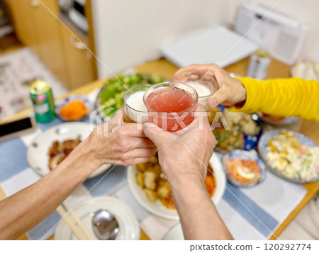 Three middle-aged women drinking at home toasting Three middle-aged women drinking at home toasting 120292774