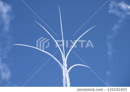 Blue impulse to fly on display 120292803