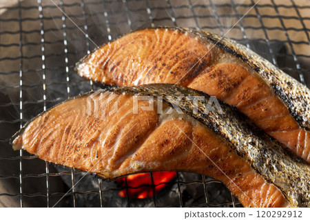 木炭烤架上烤的美味鮭魚 木炭烤架上烤的美味鮭魚 120292912
