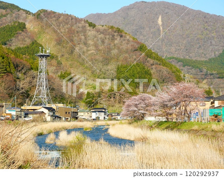 Spring scenery at Atsumi Onsen, Tsuruoka City, Yamagata Prefecture 120292937