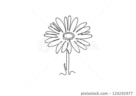 beauty fresh calendula for home decoration wallpaper art poster print beauty fresh calendula for home decoration wallpaper art poster print 120292977