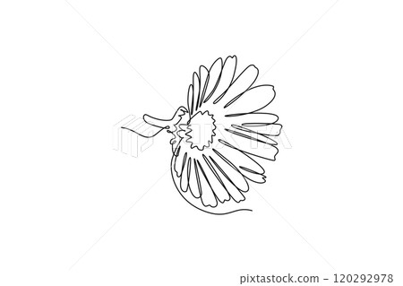 decorative calendula flower for wedding card invitation decorative calendula flower for wedding card invitation 120292978