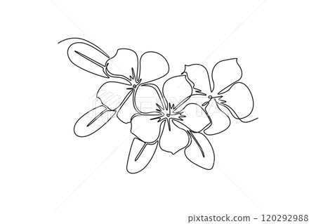 Decorative periwinkle flower concept for wedding invitation card 120292988