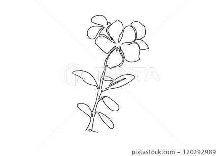 decorative periwinkle flower for greeting card ornament 120292989