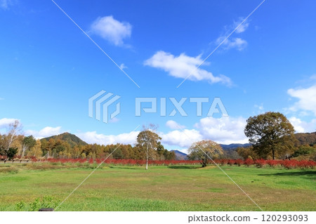 秋天的開田高原“木曾馬之裡” 秋天的開田高原“木曾馬之裡” 120293093