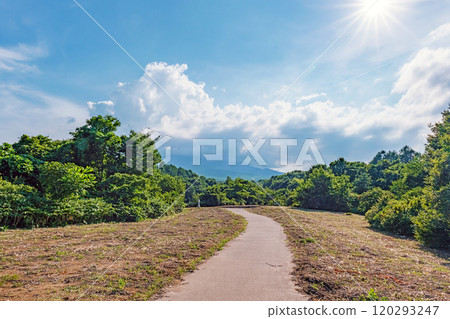 青森大森勝山遺址 120293247