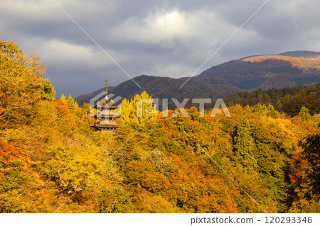 Mount Teikyo and the Five-story Pagoda Mount Teikyo and the Five-story Pagoda 120293346