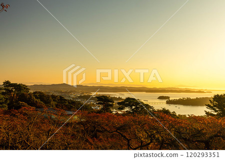 西行莫西之松公園的黎明與秋葉 120293351