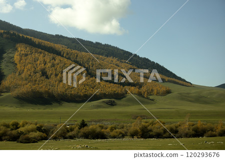 Grigoriev and Semenov gorge, is one of wonderful landscape in Kyrgyzstan which located in the Kungey Alatau mountain range 120293676