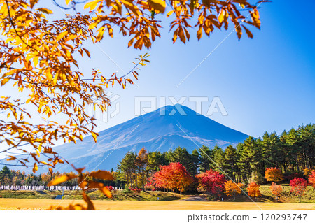 【山梨縣】從國立植樹節紀念廣場看到的富士山,秋天的楓葉很美 【山梨縣】從國立植樹節紀念廣場看到的富士山,秋天的楓葉很美 120293747