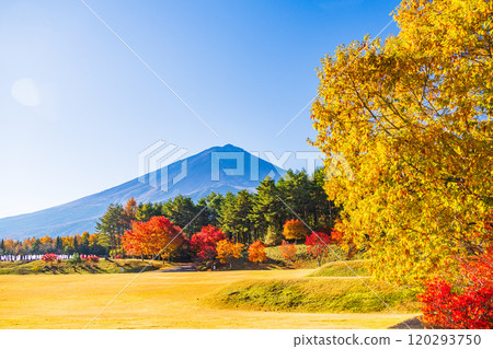【山梨縣】從國立植樹節紀念廣場看到的富士山,秋天的楓葉很美 【山梨縣】從國立植樹節紀念廣場看到的富士山,秋天的楓葉很美 120293750