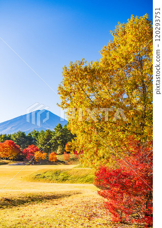 【山梨縣】從國立植樹節紀念廣場看到的富士山，秋天的楓葉很美 120293751