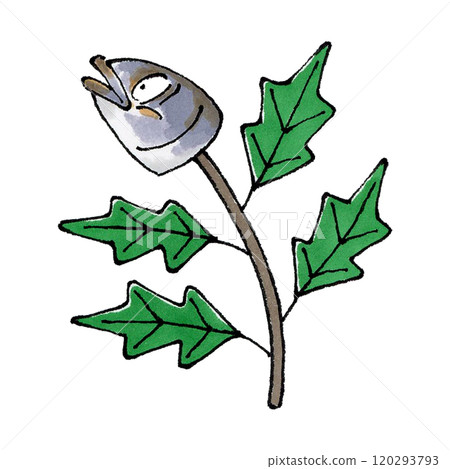 Hirune沙丁魚 120293793