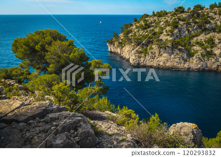 Magnificient Calanque de Port Pin bay view, Cassis, Marseille, France 120293832