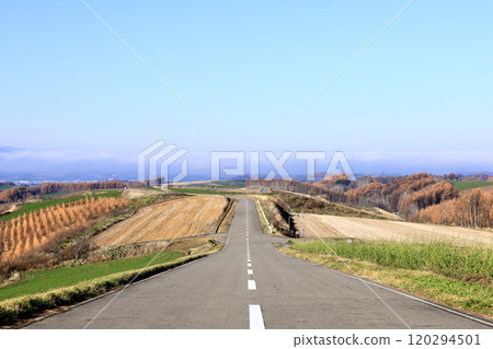 天空蔚藍、視野開闊的典型北海道道路 120294501