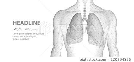 Lung and human body. Abstract vector 3d lungs on body background. Human health, respiratory system, pneumonia illness, biology science, smoker asthma, healthcare concept. Lung and human body. Abstract vector 3d lungs on body background. Human health, respiratory system, pneumonia illness, biology science, smoker asthma, healthcare concept. 120294556
